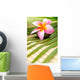 Beautiful Frangipani Wall Decal