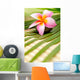 Beautiful Frangipani Wall Decal