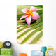 Beautiful Frangipani Wall Decal