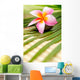 Beautiful Frangipani Wall Decal