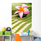 Beautiful Frangipani Wall Decal