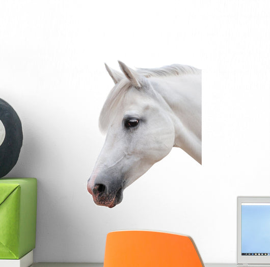 Arabian Stallion White Wall Decal