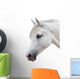 Arabian Stallion White Wall Decal