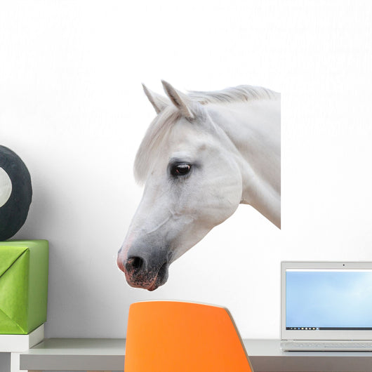 Arabian Stallion White Wall Decal