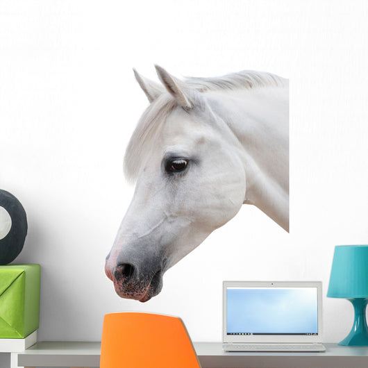 Arabian Stallion White Wall Decal