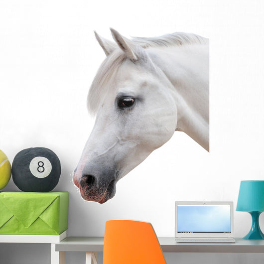 Arabian Stallion White Wall Decal