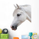 Arabian Stallion White Wall Decal