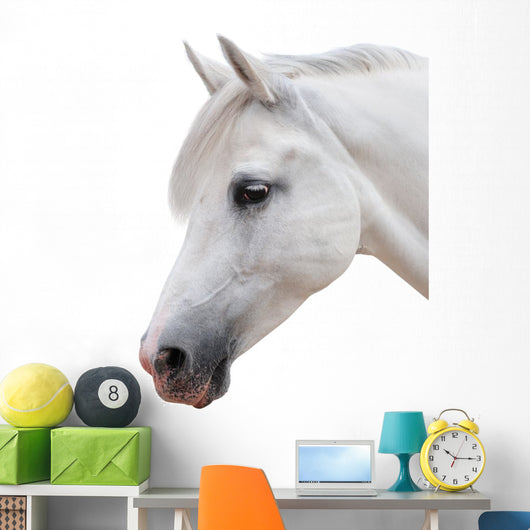 Arabian Stallion White Wall Decal