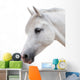 Arabian Stallion White Wall Decal