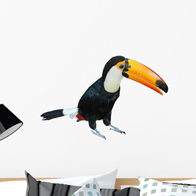Toucan Wall Decal shown on a wall