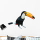 Toucan Wall Decal