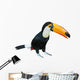 Toucan Wall Decal