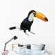 Toucan Wall Decal