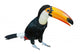 Toucan Wall Decal