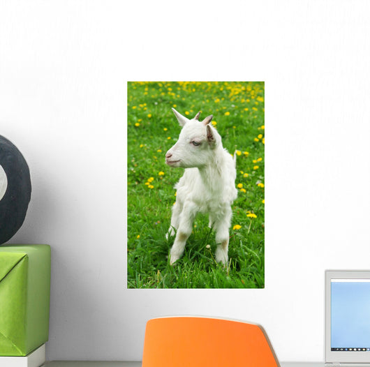 Little White Goat Wall Decal