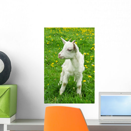 Little White Goat Wall Decal