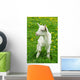 Little White Goat Wall Decal