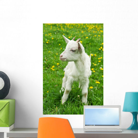 Little White Goat Wall Decal