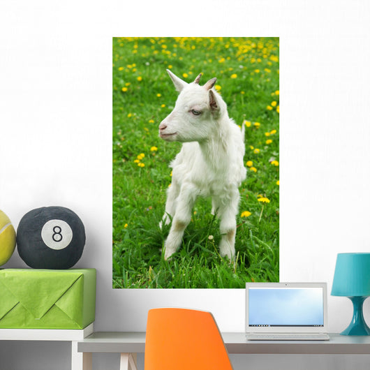 Little White Goat Wall Decal