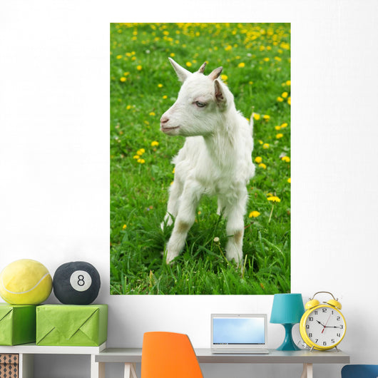 Little White Goat Wall Decal
