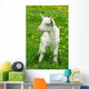 Little White Goat Wall Decal