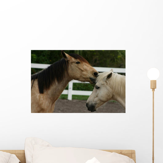 Horse Kisses Wall Decal
