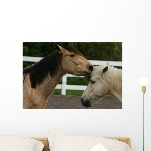 Horse Kisses Wall Decal