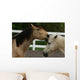 Horse Kisses Wall Decal