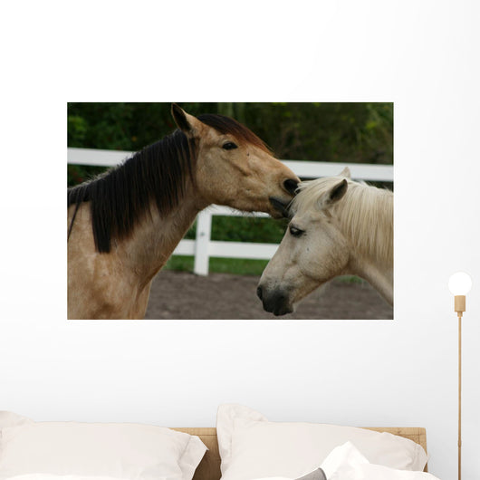 Horse Kisses Wall Decal