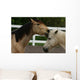 Horse Kisses Wall Decal
