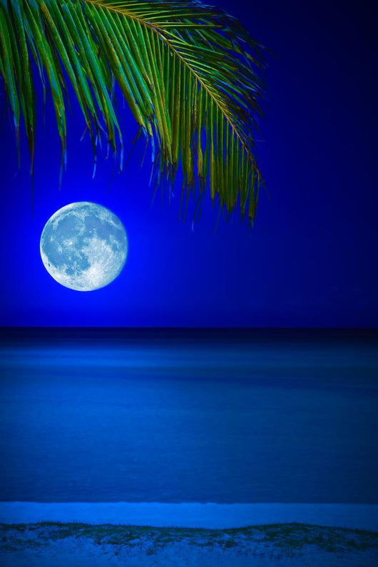 Beach Midnight with Full Wall Decal