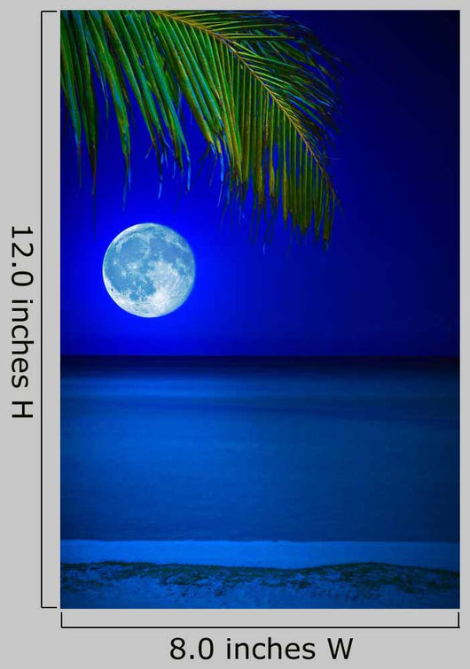 Beach Midnight with Full Wall Decal