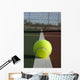 Tennis Ball Line Wall Decal