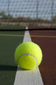 Tennis Ball Line Wall Decal