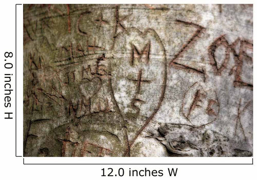 Initials Carved Tree Wall Decal