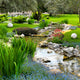 Garden with Pond Asian Wall Decal