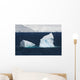 Melchior Island Wall Decal