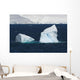 Melchior Island Wall Decal