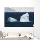 Melchior Island Wall Decal