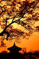 Republic Korea Pagoda Wall Decal
