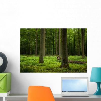 Oak Forest Wall Decal shown on a wall