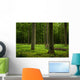 Oak Forest Wall Decal