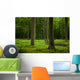 Oak Forest Wall Decal