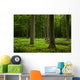 Oak Forest Wall Decal