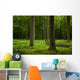 Oak Forest Wall Decal