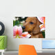 Dachshund Puppy Lillies Wall Decal