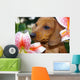 Dachshund Puppy Lillies Wall Decal