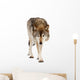 Wolf over White Wall Decal