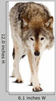 Wolf over White Wall Decal