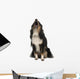 Shetland Sheepdog Wall Decal